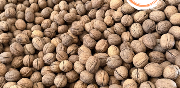 Noci malizia italiane a partire da 3€ al kilo