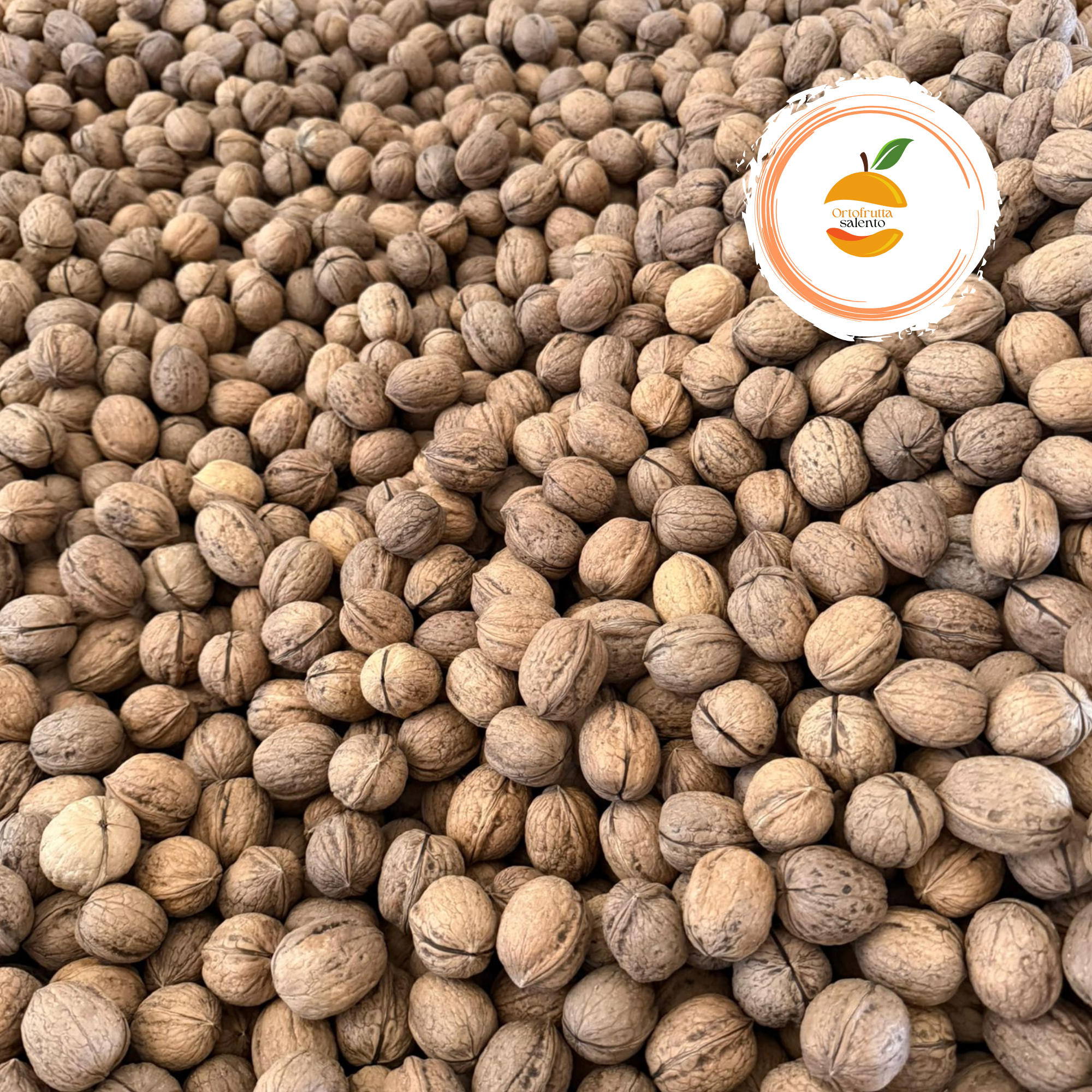 Noci malizia italiane a partire da 3€ al kilo